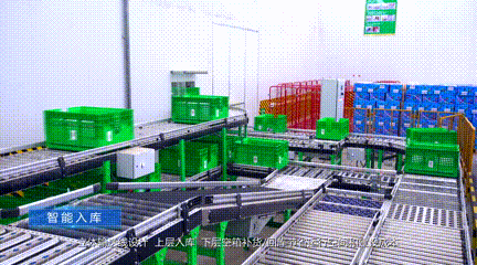 6.gif 6.gif